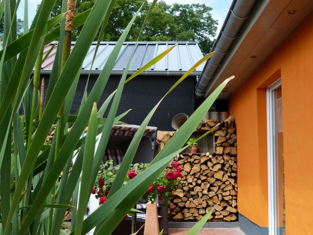 Ferienhaus Arendsee アーレンゼー エクステリア 写真